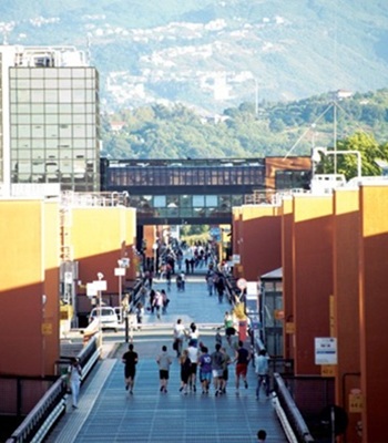 University of Calabria (UNICAL)